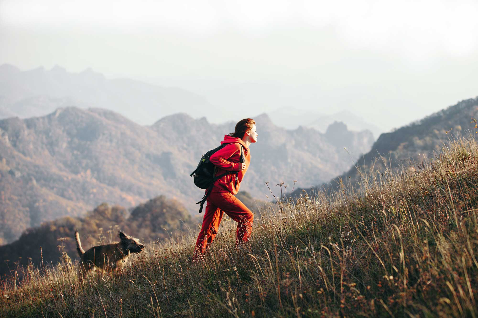 A woman walks up a hill, surrounded by other hill, with her dog