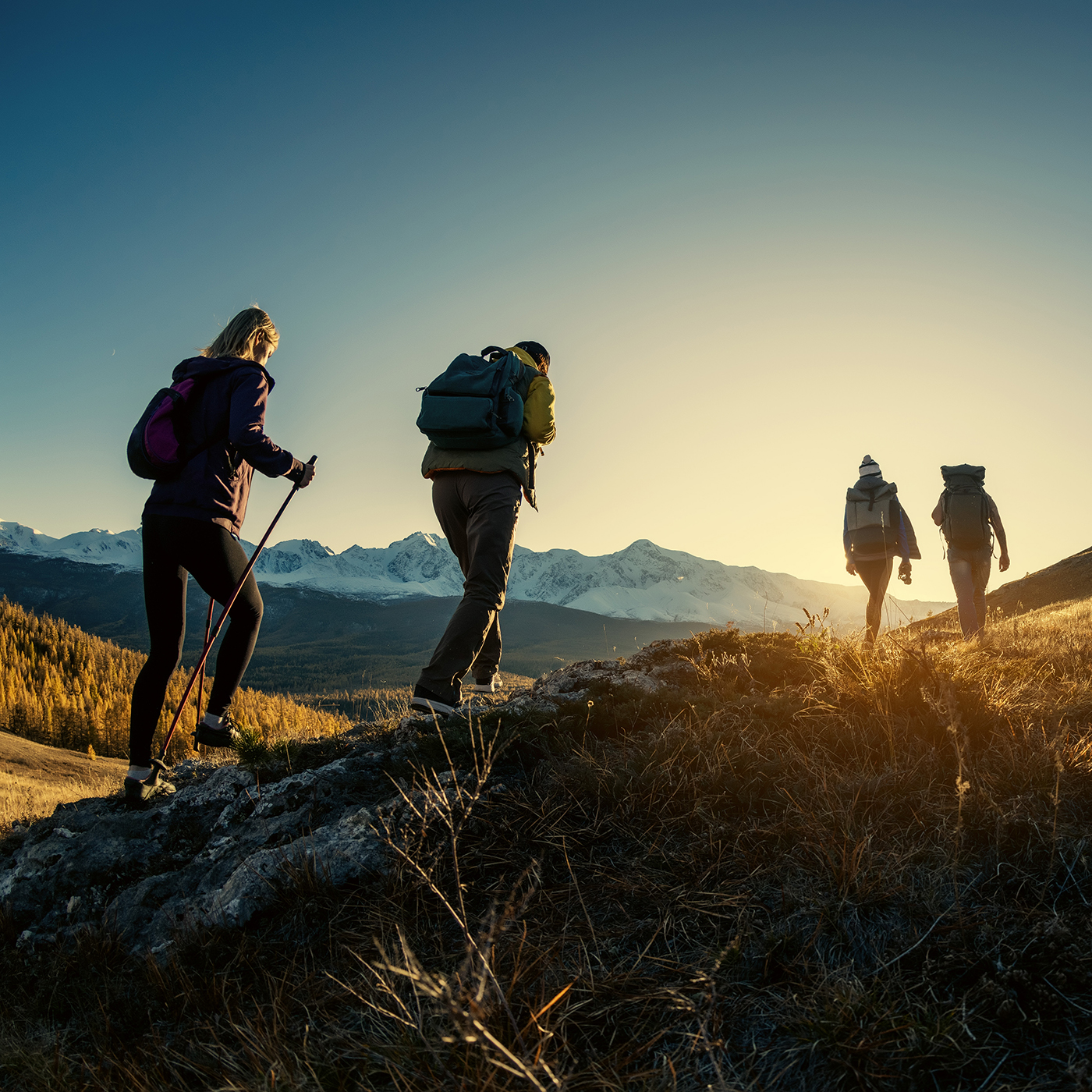 Group of hikers walks in mountains at sunset